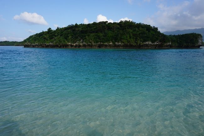 ここは観光客が沢山いました。<br />沢山といっても夏休みよりは少ないんだろうけど。駐車場がちょうど一杯になる位。それにしても舗装されていない方の駐車場が狭くて苦戦しました。<br /><br />学生グループとかは自撮り棒を持っている人たちがちらほら。<br />誰かに写真を撮ってと頼むことが少し緊張する私なので、自撮り棒欲しい！って感じました。でもスマホじゃなくて大き目のカメラだと使えなさそうかな？