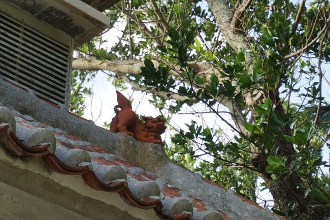 川平湾売店上のシーサー。おしりを上に突き出してる。<br />売店にはお店の子供や友達らしき子たちがレジでくつろいでいました。<br />皆良い色に日焼けしていた。目もぱっちり可愛くて、沖縄の子だなあと感じました。