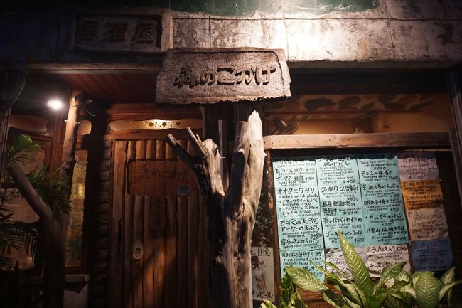 森のこかげ　というお店に入ってみました。<br />中は木を基調とした作りでおしゃれ。<br />メニューも沖縄料理がいろいろあって観光には良い感じでした。<br />六時半ほど入店したけど、貸切状態。<br />お店の店員さんが気さくな方で、私たちのカメラで写真を撮ったりしてくれました。