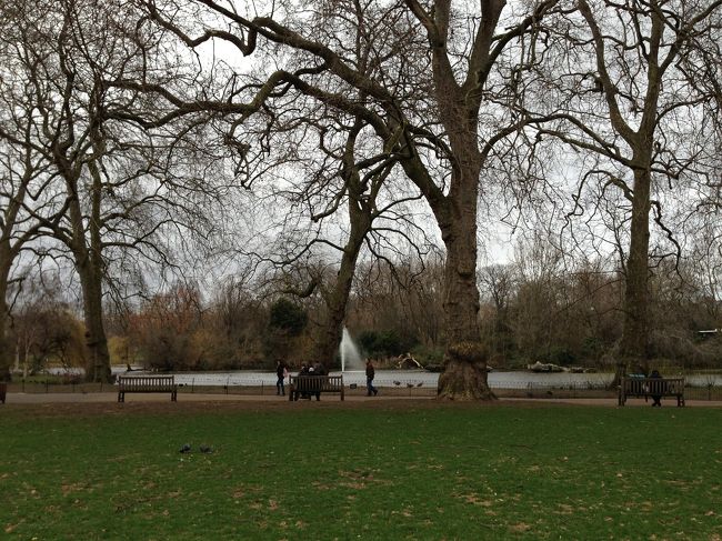 公園をテクテク。<br />なんかイギリスっぽーい！<br />冬なのに、グリーンがとっても綺麗。<br />ちゃんとお手入れされている様は流石です。