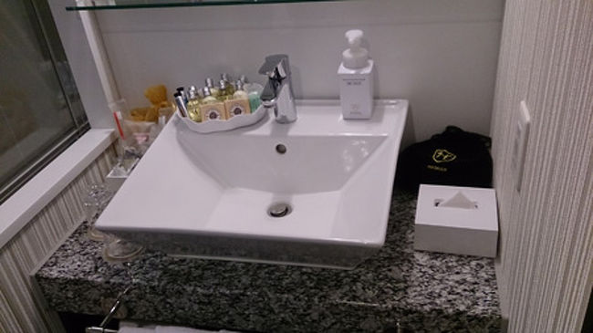 バスルームは更に驚きで……！こちらは手を洗うところ…<br />