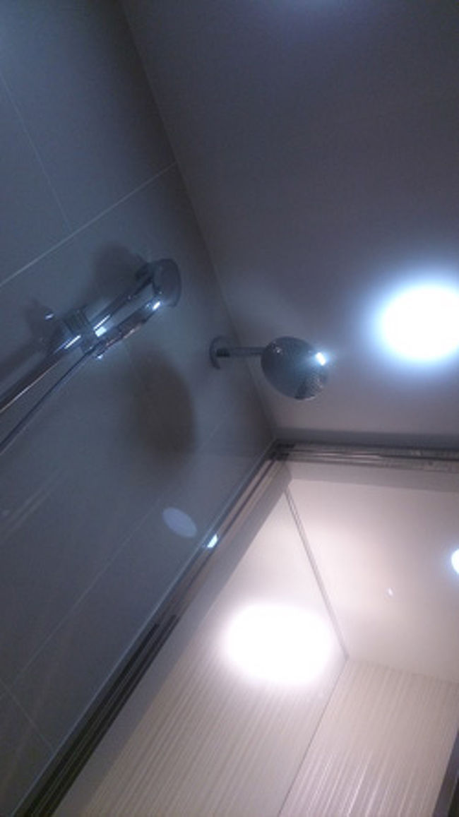 バスルームはなんとレインシャワーまであります。<br />………が、大浴場もあったため、今回はそちらへ…