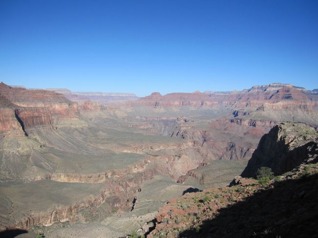 半分くらい来たでしょうか。