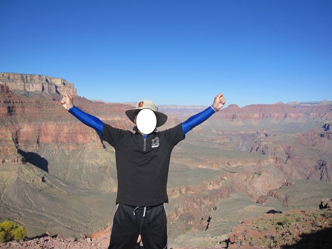 日差しがきつくなります。