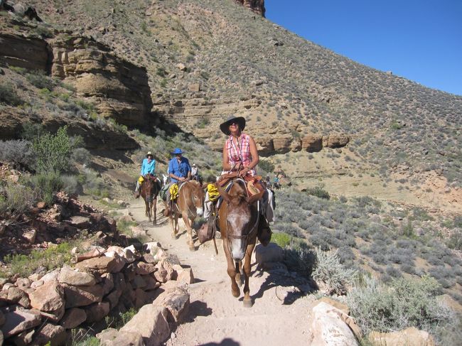 下のほうからミュールツアーの大群に出会います。ミュールが優先され、道を譲らなければならないのです。