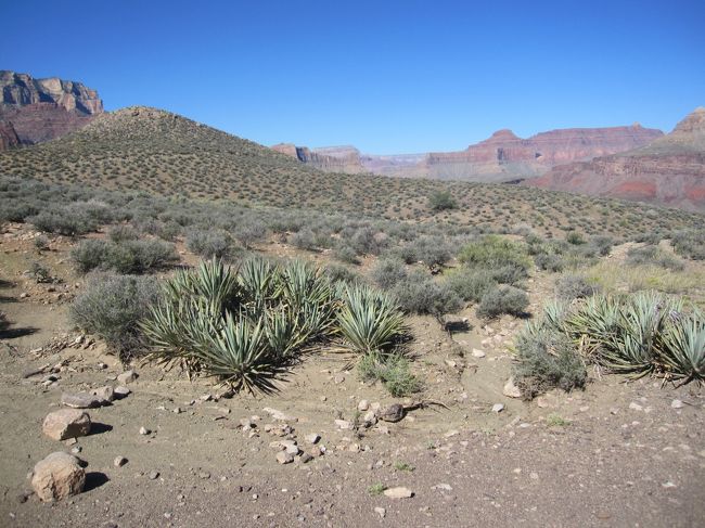 ひとっこひとりいません。