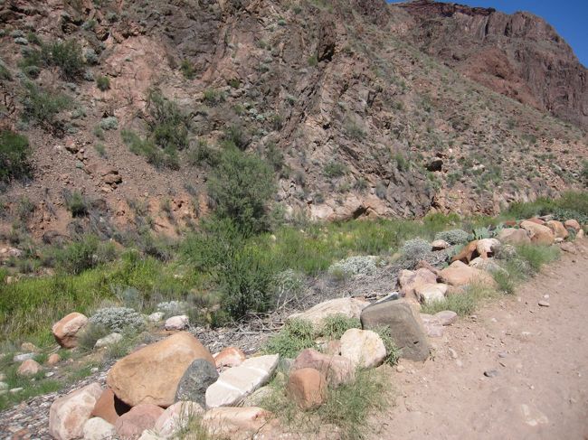 支流といいますか、せせらぎがあります。