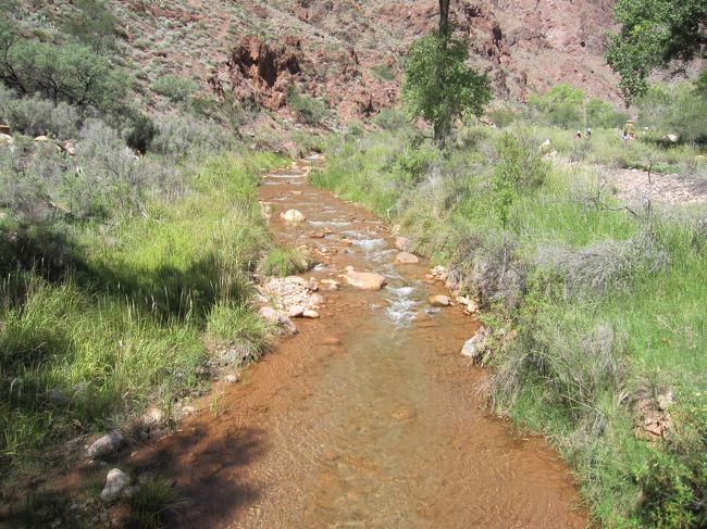 水が澄んでいます。