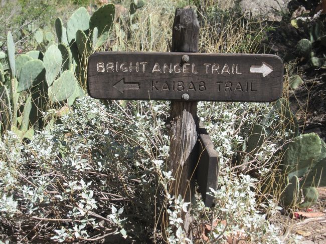 明日行くトレイルの下見をします。<br />ここまで行くのも、かなり距離がありました。