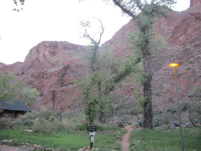 まだ明るいのですが、街灯が点灯しました。