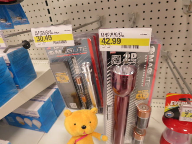 帰り道に、ターゲットというスーパーで懐中電灯なんかを物色しました。<br />ターゲットは夜遅くまでやっています。<br /><br />ハーゲンダッツのアイスクリームを食べたかったのだけど、小さいカップのは種類があまりなくて。。。大きいサイズは大き過ぎて食べきれなそうってことで諦めました。<br />あと、思っていたより安くないってことです。ちょっとがっかりです。<br /><br />ああこってり濃厚なアイスクリームを浴びるほど食べたいよ。<br /><br />モヤモヤしながらホテルに帰りました。<br />２４時になっていました。<br /><br />明日に備えます。明日からは船の旅ですからね！