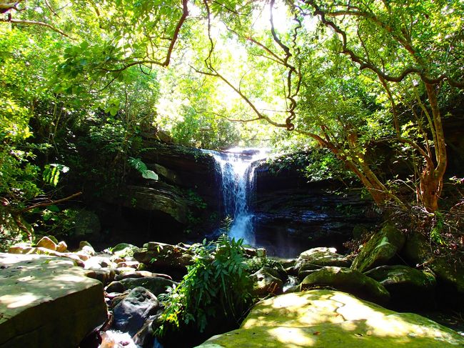 しばらく歩くと滝に到着！<br />写真じゃ見えないけど滝壺もあります。<br />滝壺には魚がたくさん。なぜか一人の男性の周囲に集まっていました。<br />魚は水の中に何かが入ると虫が落ちてきたと思って集まるそう。