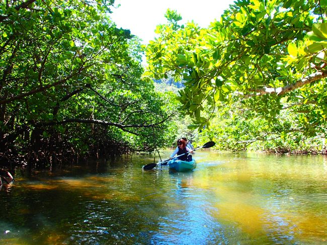 帰り道中。<br />浅瀬に乗り上げたり木に突っ込んだり・・・