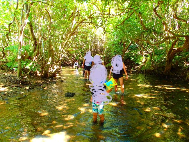 小さい子供さんもとっても楽しそう！<br />色んな物を拾ってガイドさんに聞いてました。<br /><br />