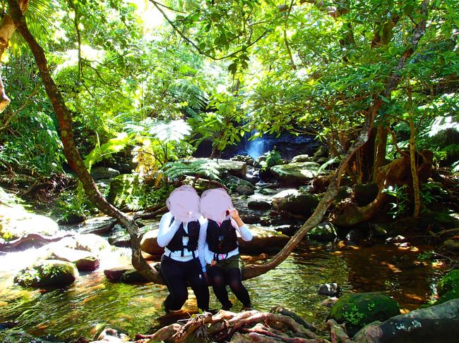 ツルの上に座って記念撮影。<br />この重い体を支えられるのか・・・怖くて全体重はかけられませんでした　笑