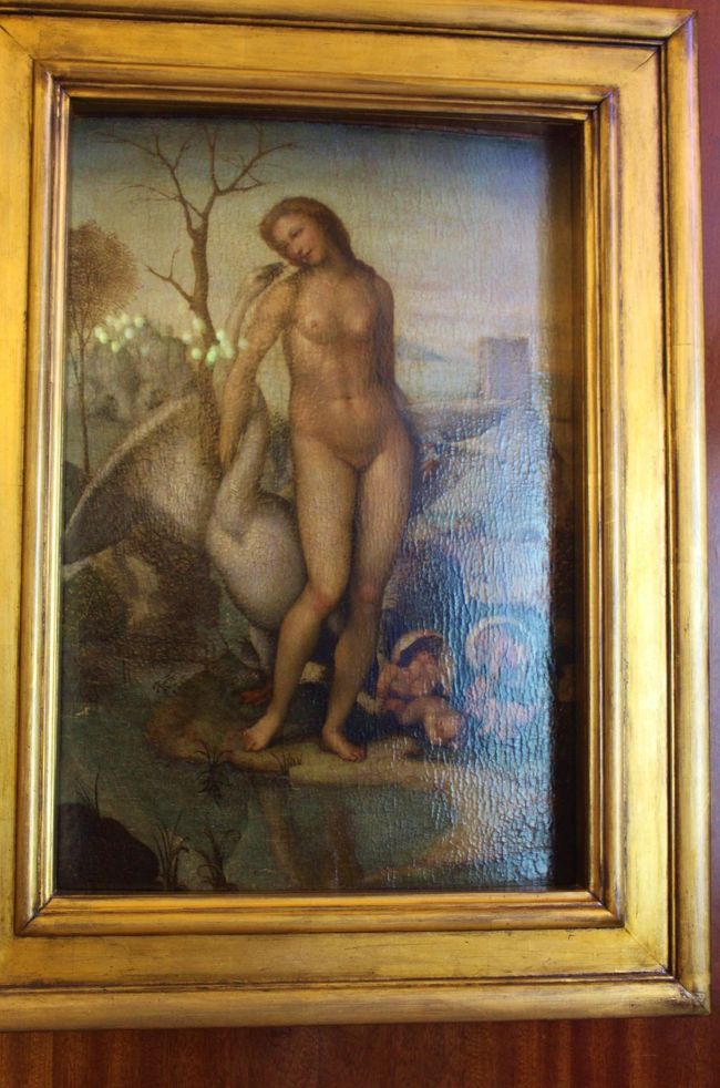 ジョヴァンニ・アントニオGiovanni Antonio Bazzi (1477-1549) <br />Sodomaと呼ばれてる人の作品、レダ<br /><br />レオナルドダヴィンチがソドマに会ったのは1508年の2回目のミラノの滞在時<br /><br />