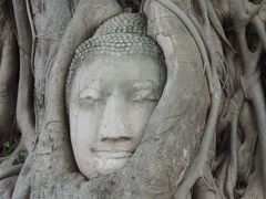 アユタヤ歴史公園内の菩提樹に覆われた仏頭。
仏頭は、意外と小さいです。
