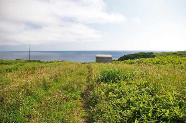 誰も居ない野原。風が清々しかった。