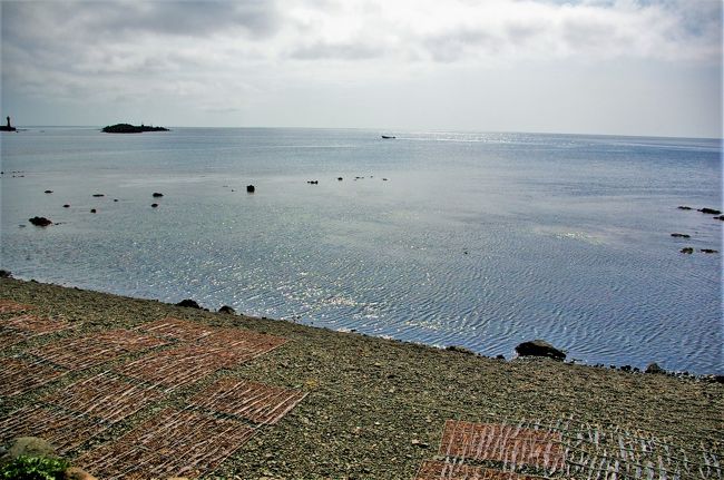 礼文島でも昆布が干してある。