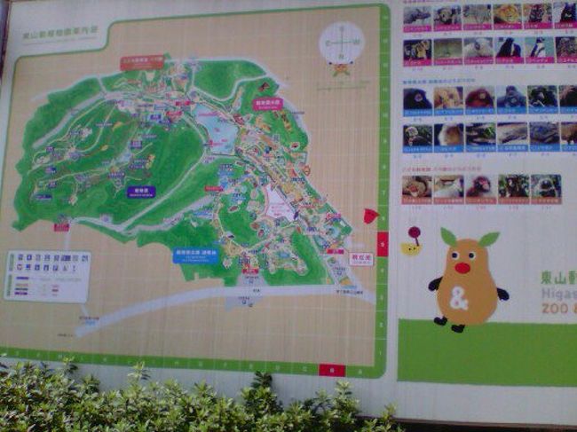 リニューアルされた東山動植物園 千種 今池 愛知県 の旅行記 ブログ By れんげさん フォートラベル
