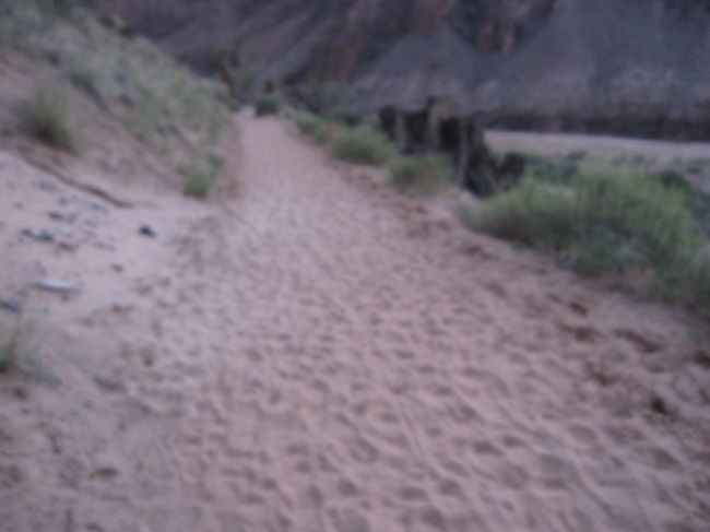 コロラド川沿いの平坦な道を歩く。グランドキャニオンは岩場が多いイメージだが、写りが悪いですが、このような細かい砂のトレイル道であります。