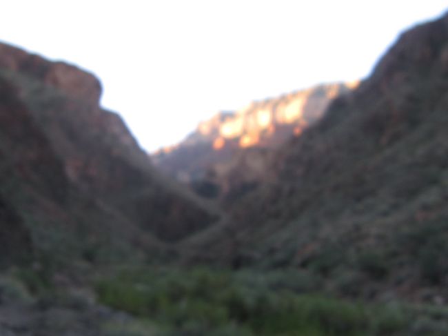 やっと日が登ってきました。