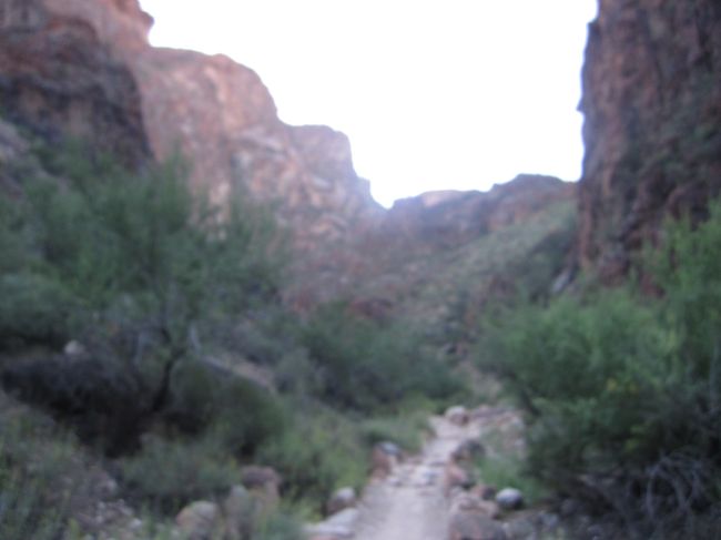 あまり速く歩くと、バテてくるので、ゆっくりゆっくりと自分に言い聞かせながら登っていきます。