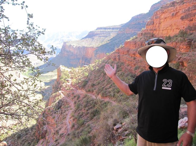 登って来た道です。