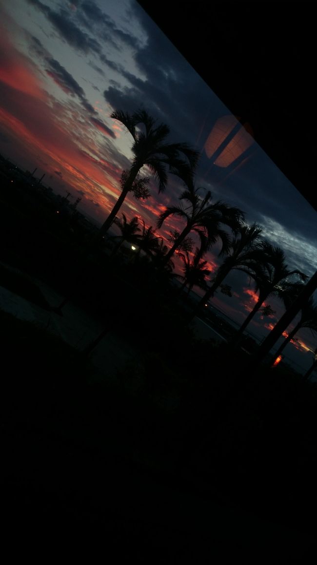 ちなみに、石垣牛のお店は琉苑といいます♪お手ごろのお肉もいいですけど、旅行中、一度はこんな雰囲気のお店で、美味しいお肉を食べるのもいいかも！！