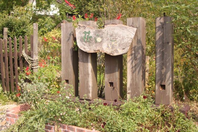 いよいよ、やって来ました。