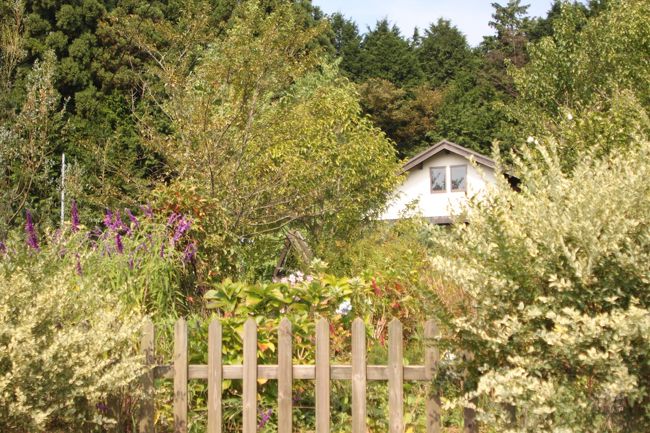 たくさんのグリーンに囲まれて