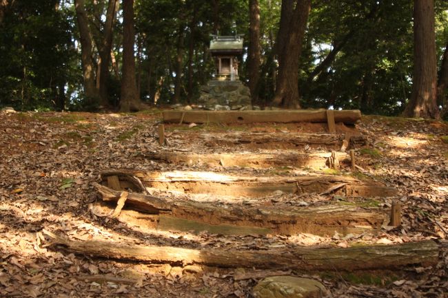 小さな祠に続く階段　鎮守の森っぽい林