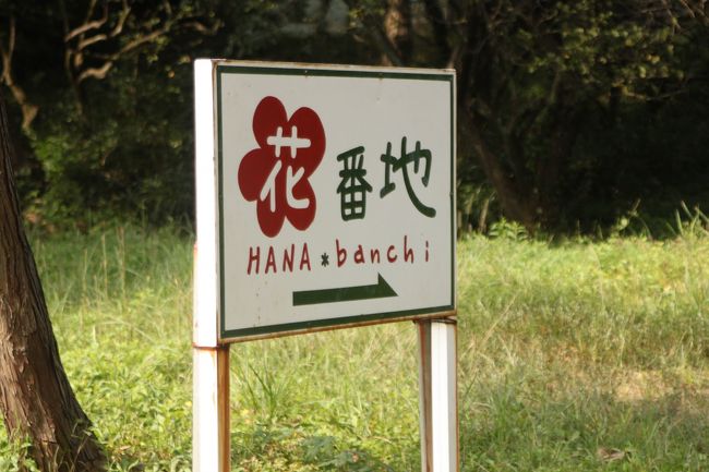 国道27号線から脇道に入って川沿いを50ｍ位進んだ後、右に入って見かけた看板