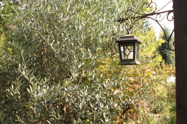 この中に火がともると素敵でしょうね。