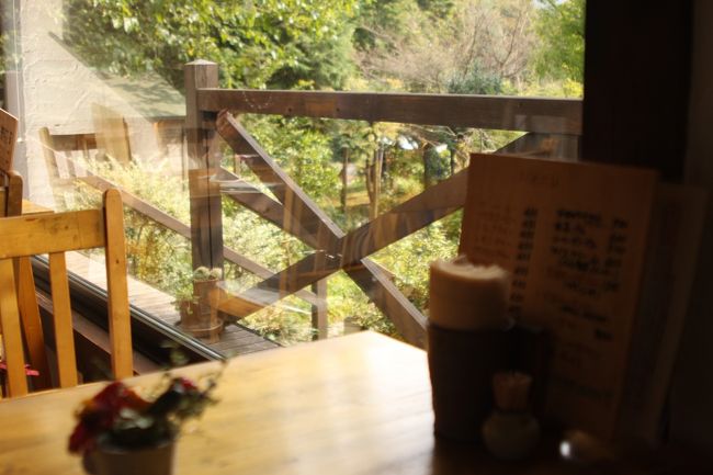 左手の奥の席に座ります。