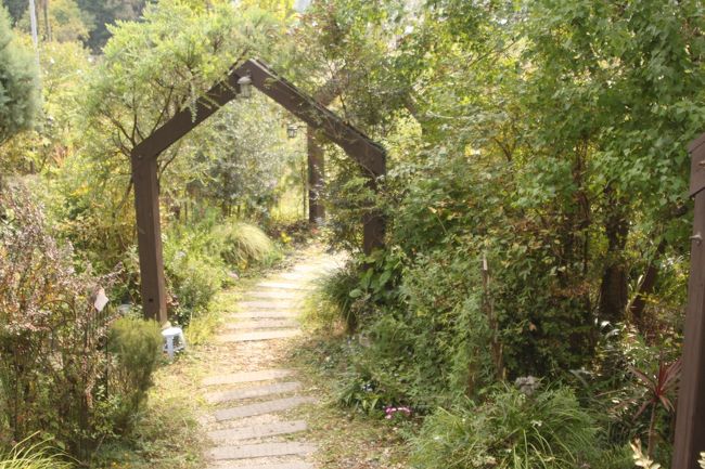 緑の中を進みます。