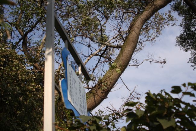 これより先を進むにはちょっと勇気がいるなぁ。<br />上の看板には、ナタオレノキのことが書いてある。