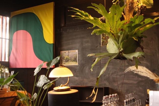 この植物は独特<br /><br />