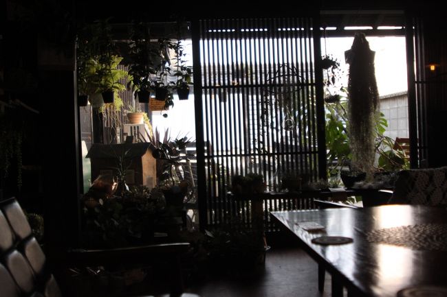 店内に入るとちょっと古めかしそう。