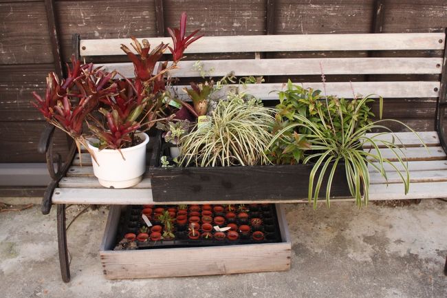 ベンチに置いてあるのもいいかも。