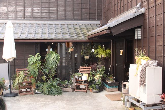 前に進んでいくとグリーンが目立ってきた。