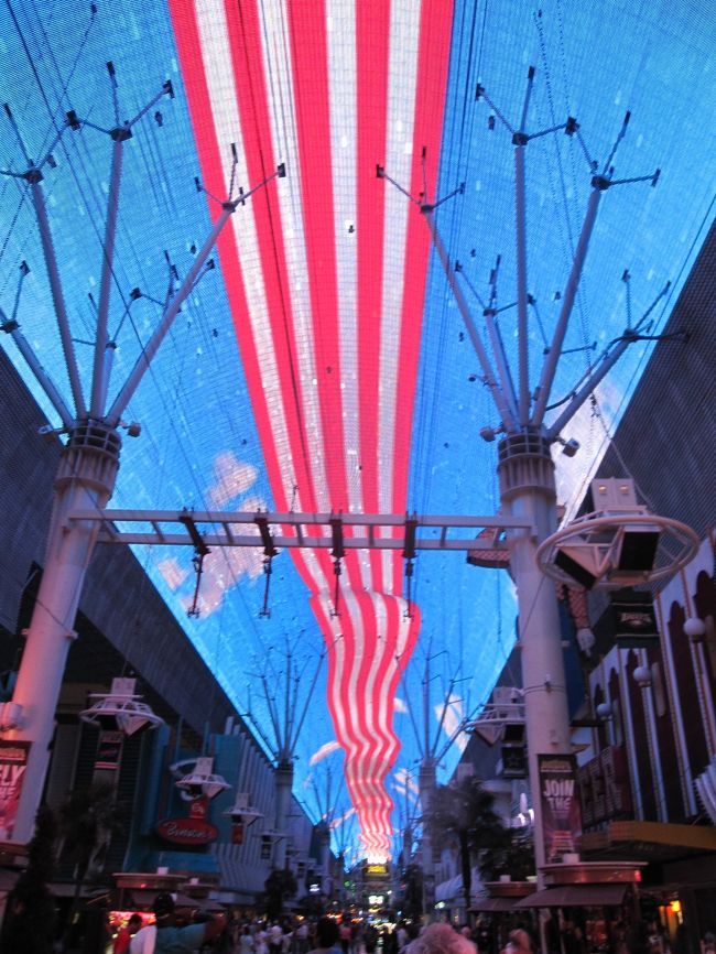 ずっと見上げていると首が痛くなります。