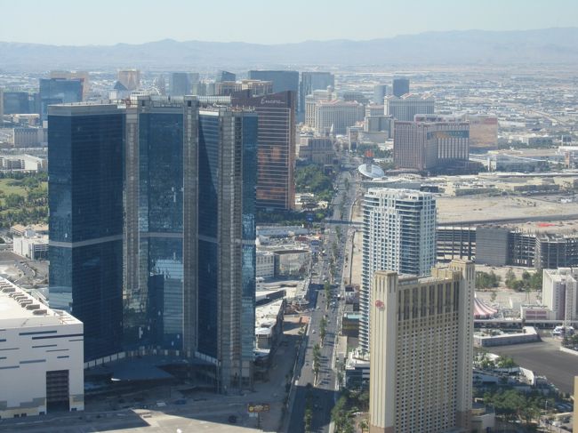 こちらはラスベガスブルーバードです。