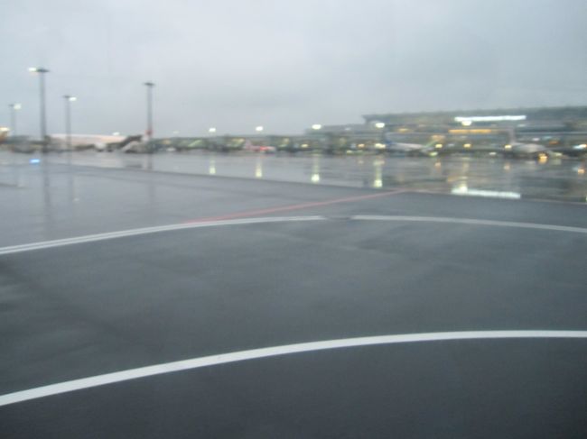 東京は小雨が降っています。