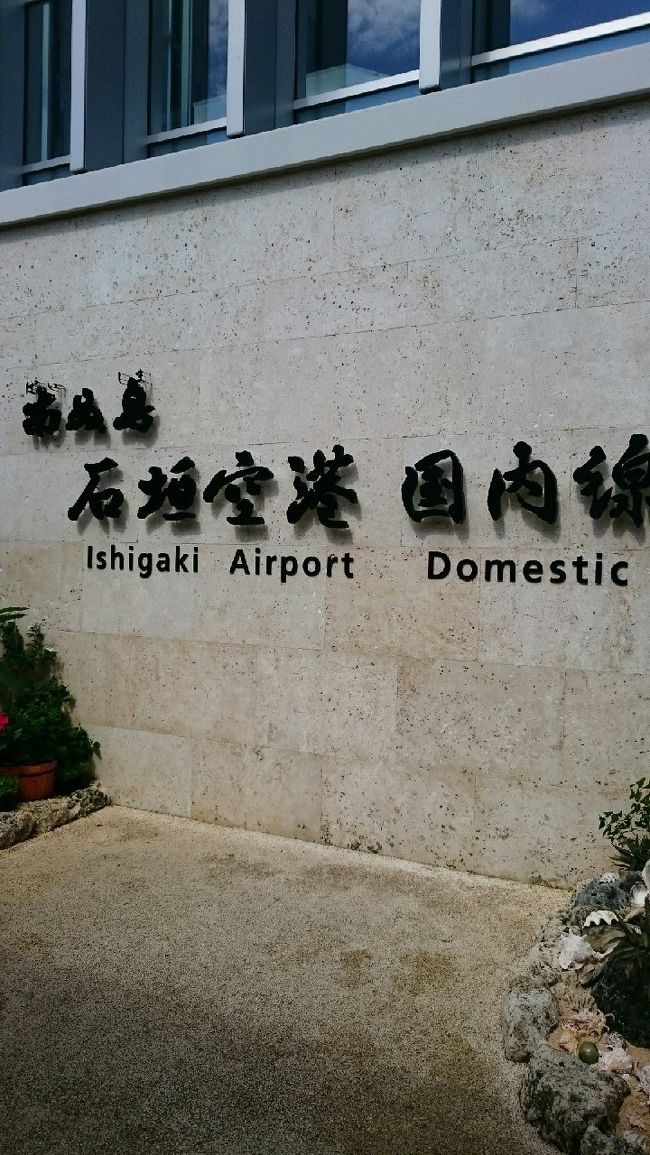 外にでると南国ムード満載！