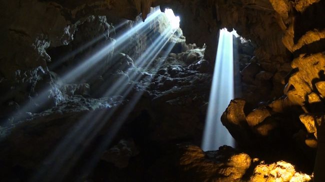 今日のお客さんラッキーよ。<br />神々しい光が差し込んで。<br />宝くじ買ったけど当たりませんでした。