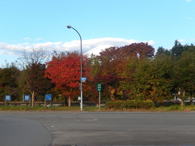 11月22日<br /><br />毎年早春に伊豆に行っていた時期がありましたが、今回久しぶりに伊豆に行くことにしました。<br /><br />3連休で大渋滞が予想されるので早朝に自宅を出発。それでも朝7時前で既に東名自動車道の海老名付近では少し渋滞しました。朝7時半過ぎ、足柄SAで休憩。SAから富士山が見えました。