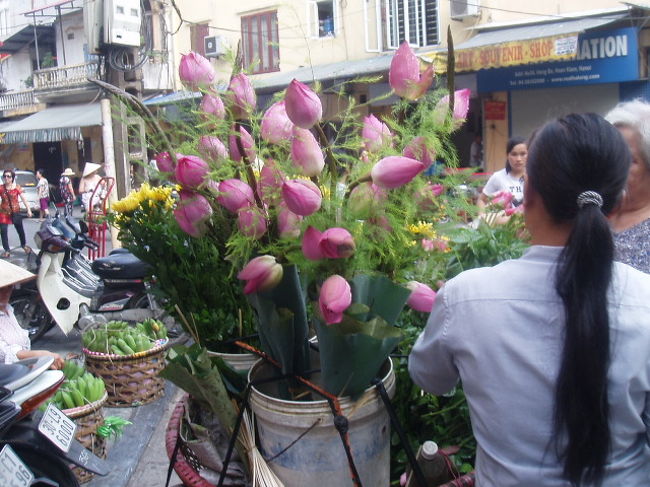 フォーを食べた後はホテルまで散歩。朝の旧市街。たくさんの肉や魚を売るお店が並んでいました。花売りのおねえさん。<br />蓮の花がきれいだな〜。なんで日本の花屋さんでは見かけないんだろう。