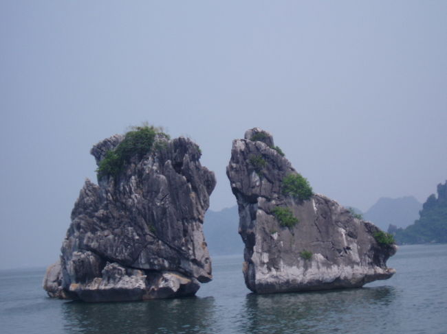 ホテルからツアーバスでハロン湾へ。ハノイの街をバスで走っていきます。風景に興味深々。カナリヤとは違う黒っぽい鳥を鳥かごに入れて売っているお店がたくさん。ペットかな。<br />街を抜けるとひたすら田園風景が広がります。<br />片道３時間半は長いけれど、外は暑いから冷房が効いた車でドライブは苦にはならない。が、かなり揺れます。ベルトをしないと椅子から落ちそうなくらい。<br /><br />ハロン湾に到着したら、クルーズ船に乗り込みます。<br />有名な鶏が喧嘩しているように見える岩。