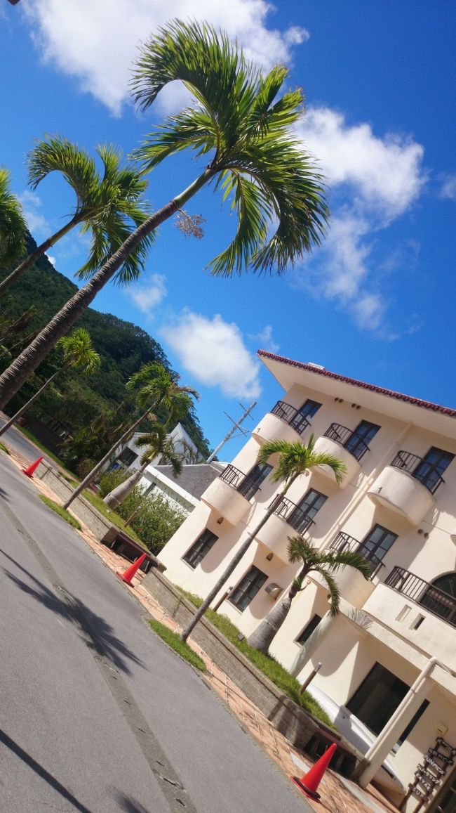 石垣島の宿は川平湾近くのラティーダ石垣島と言う所にしました♪<br />竹富島から移動してきた日が夜だったのですが、このホテルの駐車場で(ヤシガニ)を発見しました！！亀といい、天然記念物と会えるなんて♪<br />しかも、このホテル、天気がいいと、天の川が見えるんですよ〜二日連続見れて感動でした！！